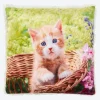 NKD Deko-Kissen mit Katzen-Design, ca. 25x25cm