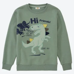 Kinder NKD Kinder-Jungen-Sweatshirt mit Dino-Applikation